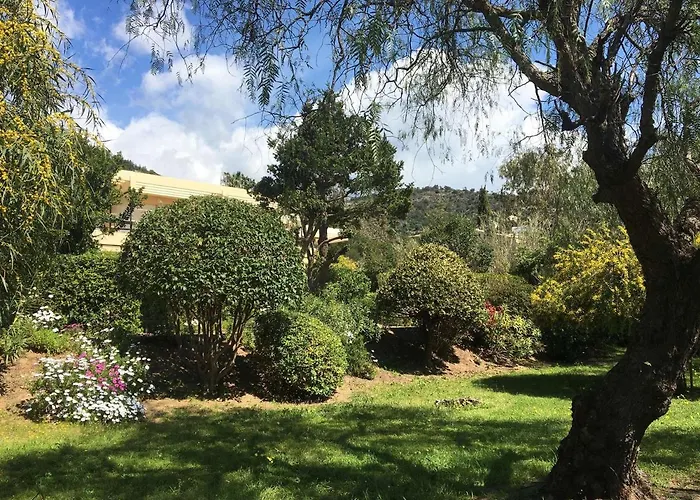 Bel Climatise Avec Parking Au Lavandou - Fr-1-308-175 Le Lavandou