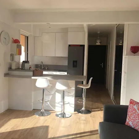 Bel Climatise Avec Parking Au Lavandou - Fr-1-308-175 *