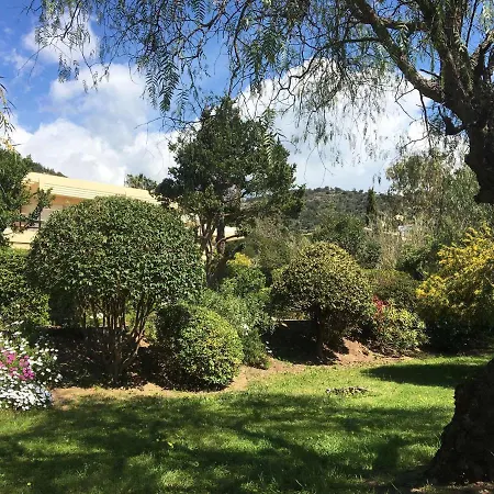 Bel Climatise Avec Parking Au Lavandou Le Lavandou