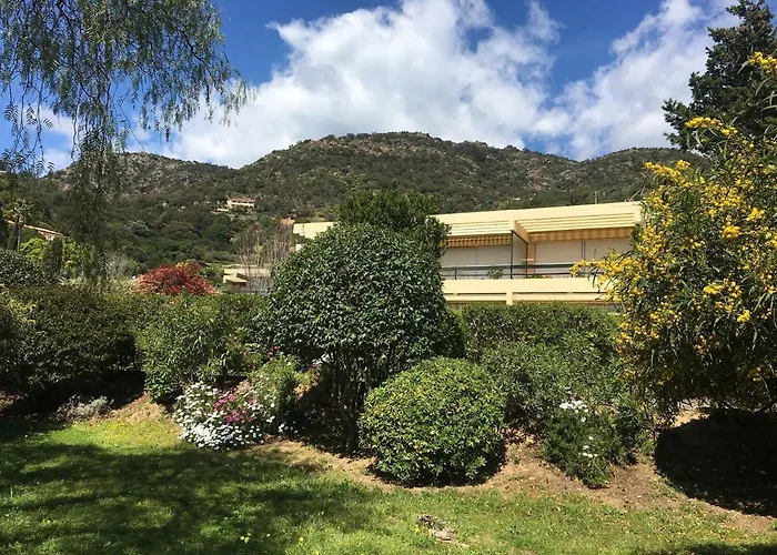 Bel Climatise Avec Parking Au Lavandou - Fr-1-308-175 *